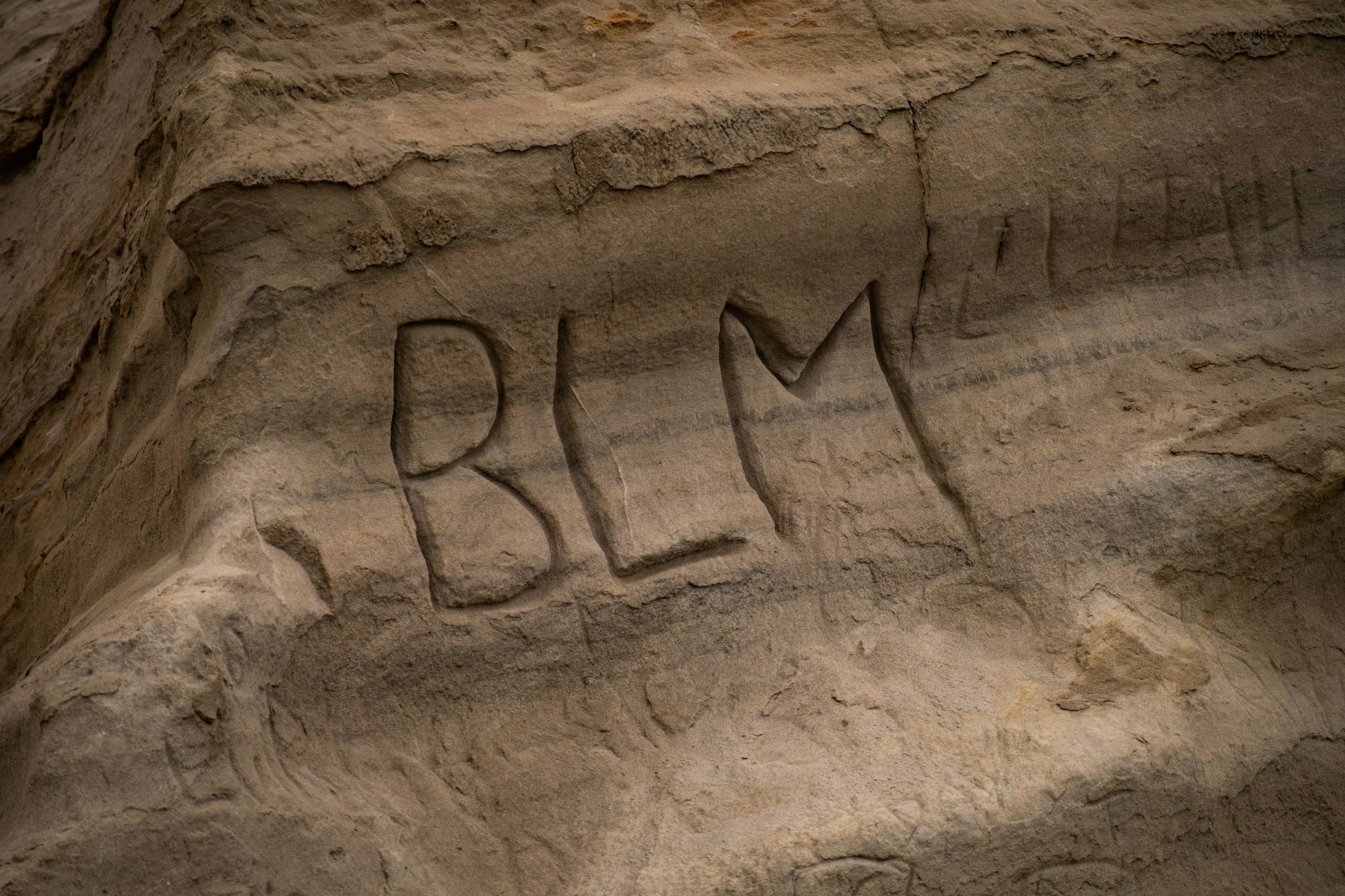 2023 How To Transplante Mint Best Tips And Advice