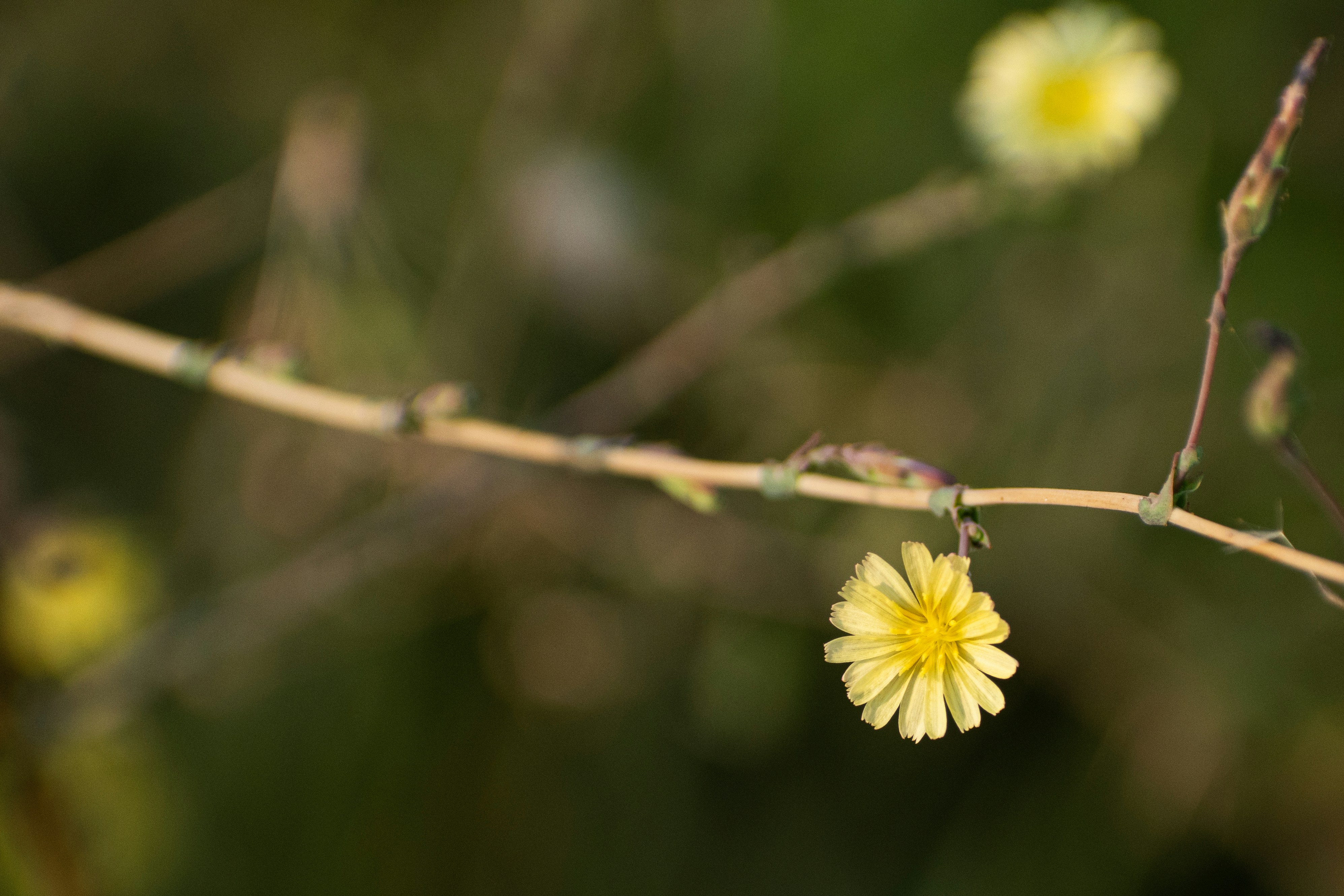 Photo by elisastonephotography