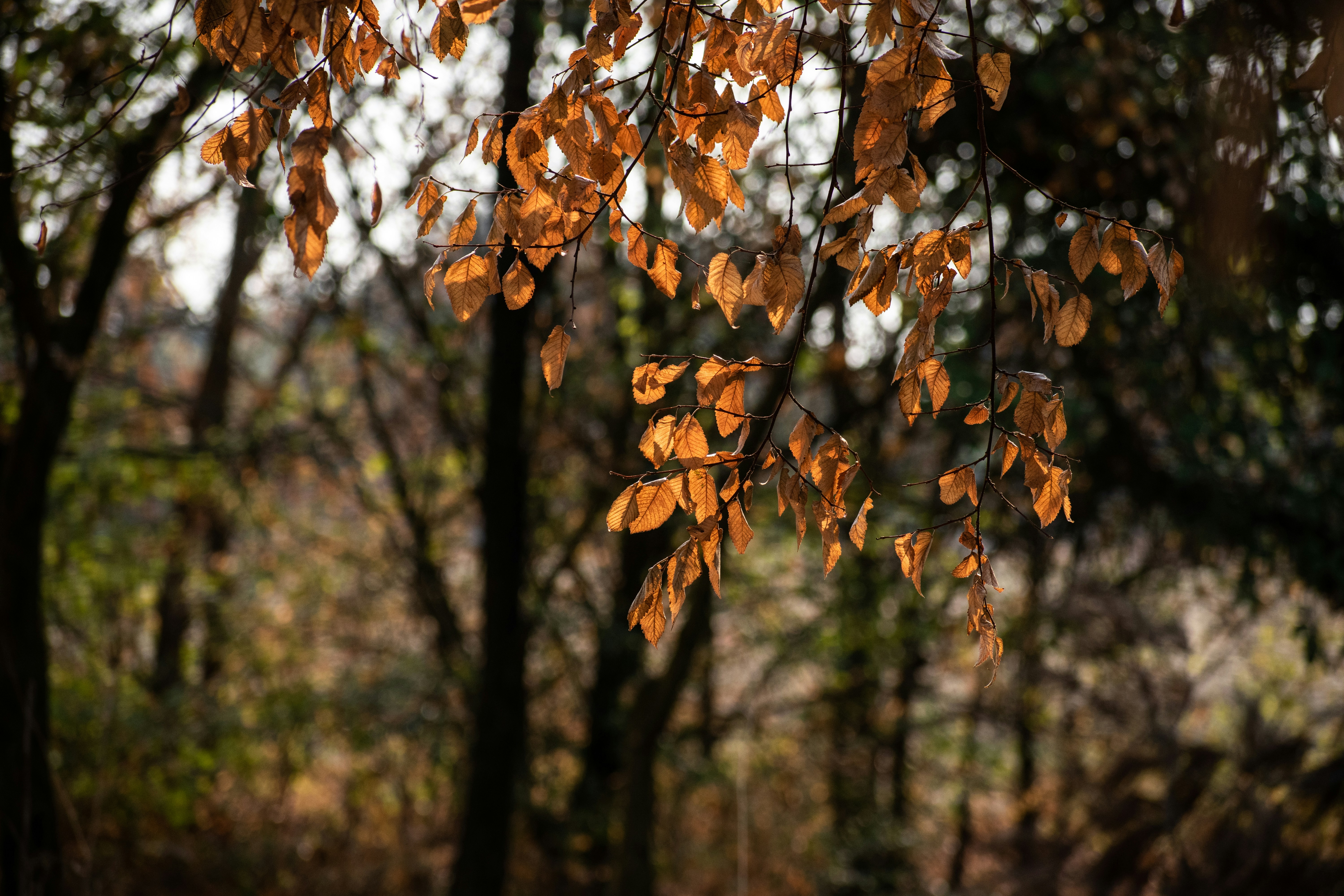 Photo by elisastonephotography