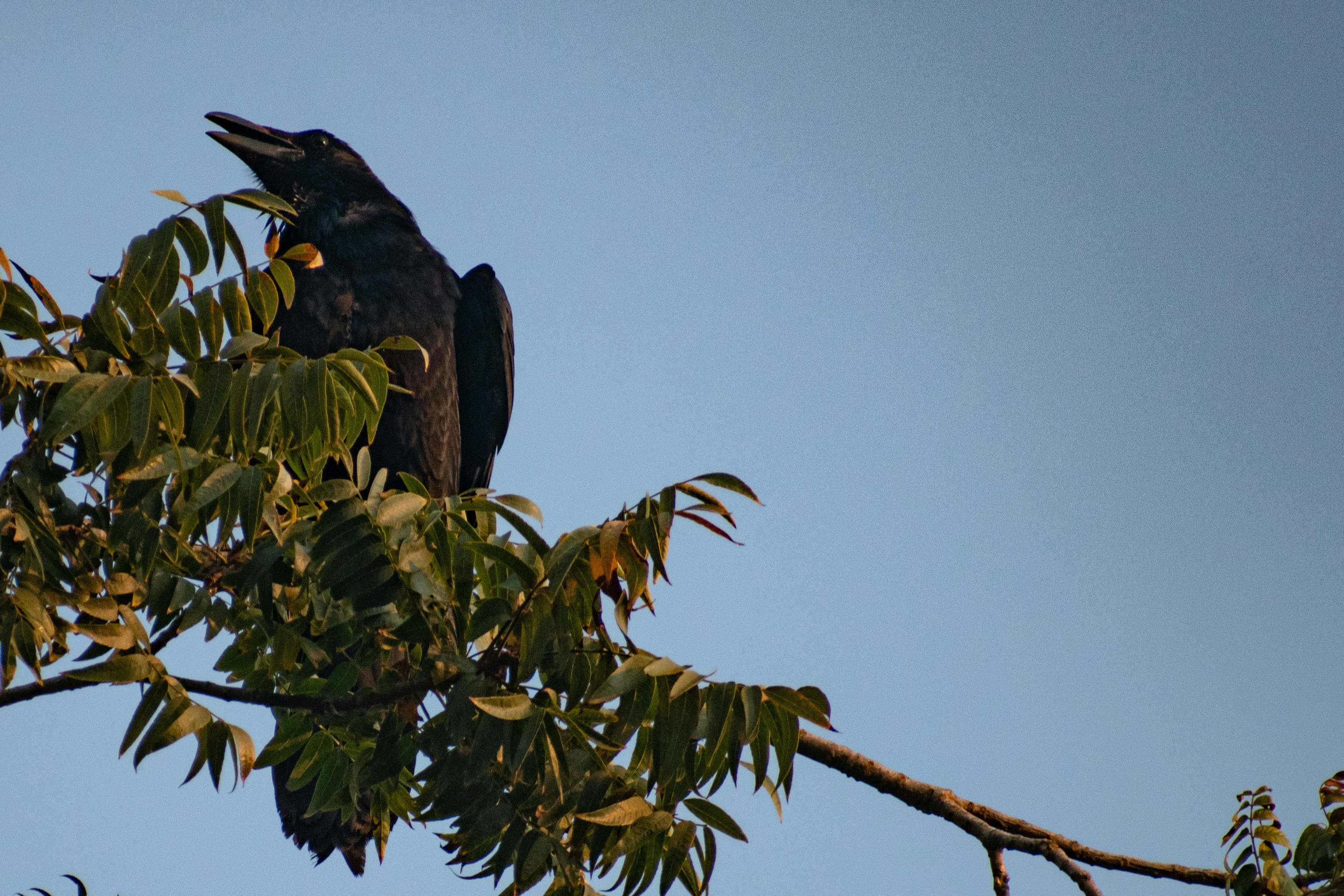 Photo by elisastonephotography