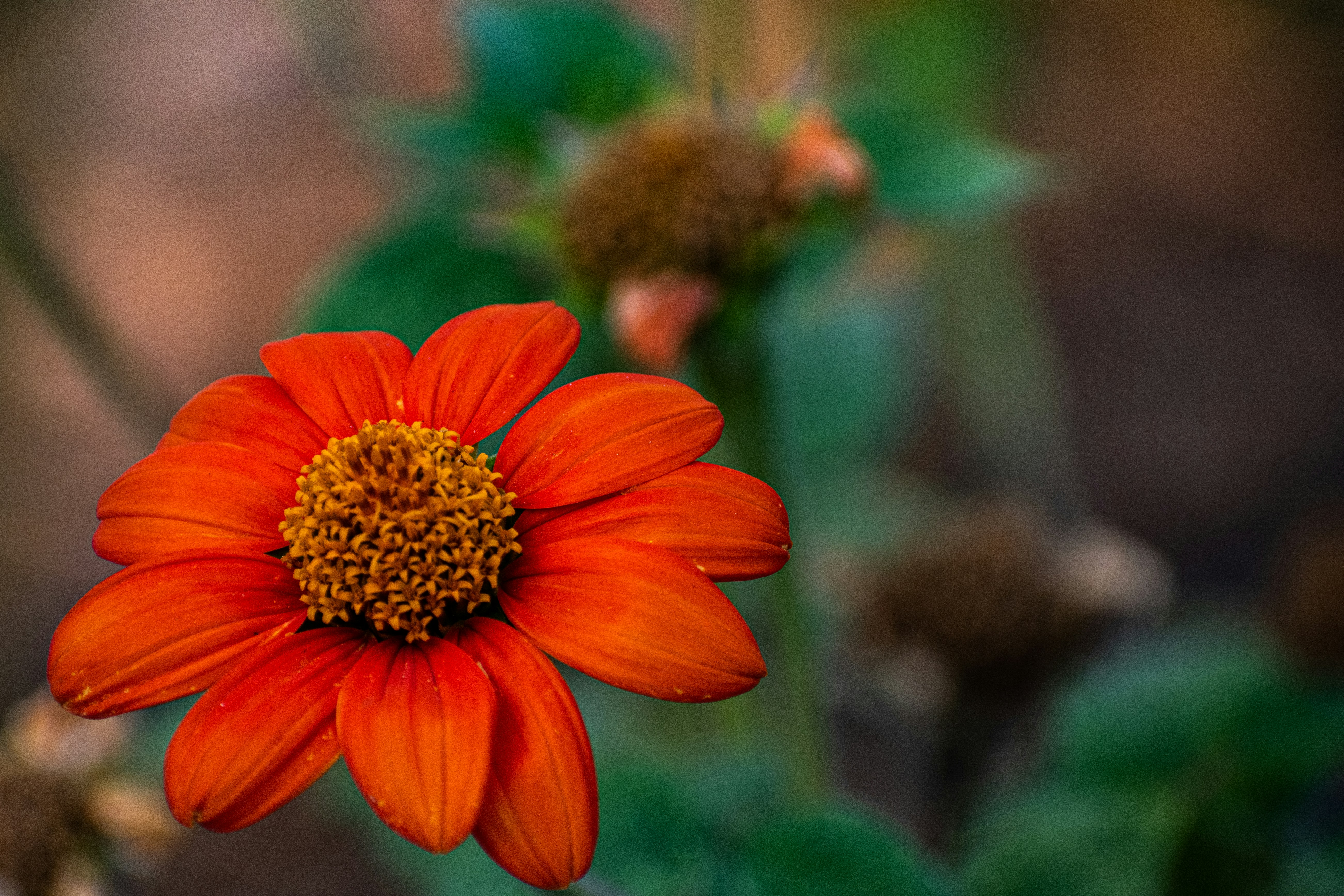 Photo by elisastonephotography