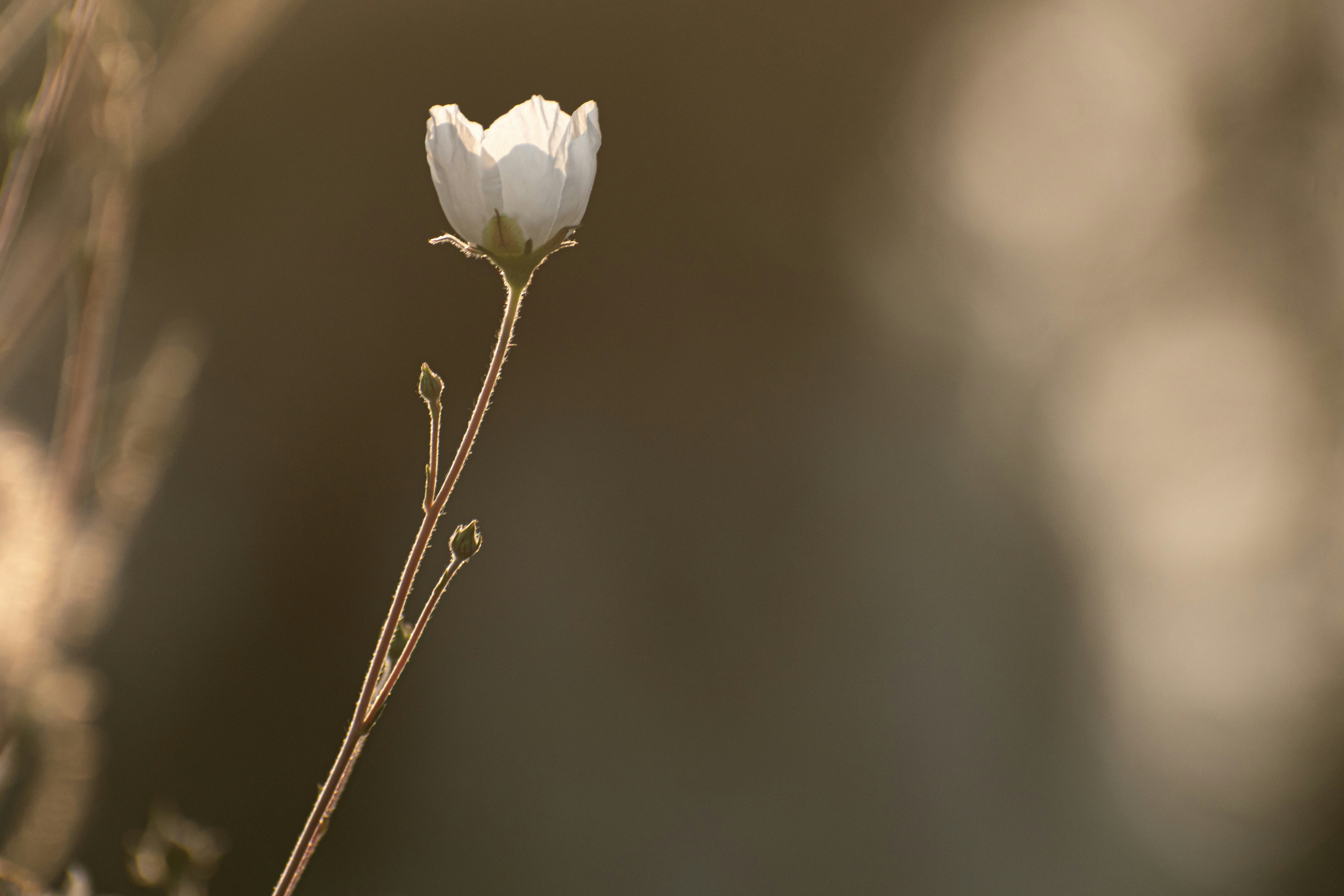 Photo by elisastonephotography