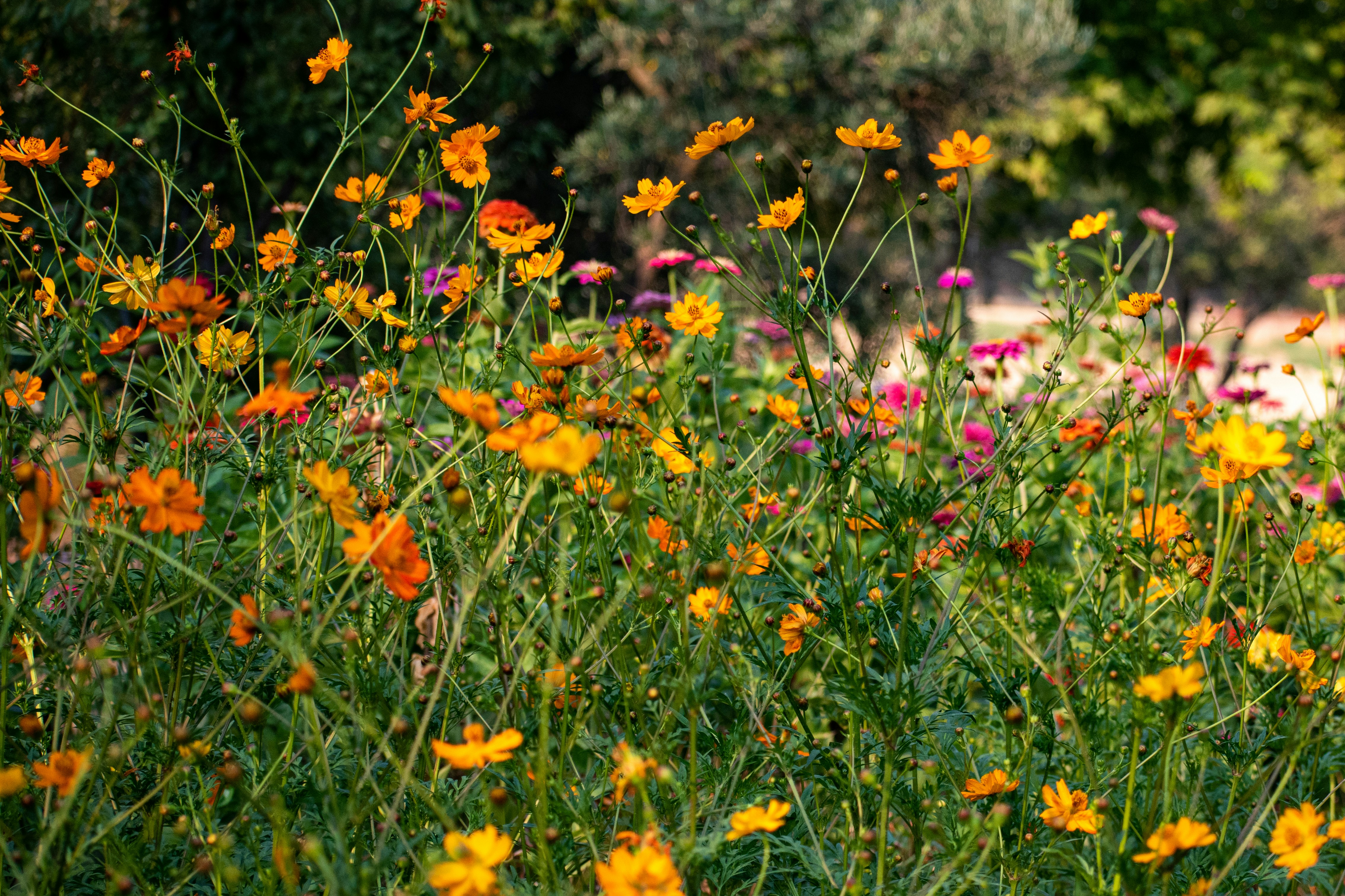 Photo by elisastonephotography