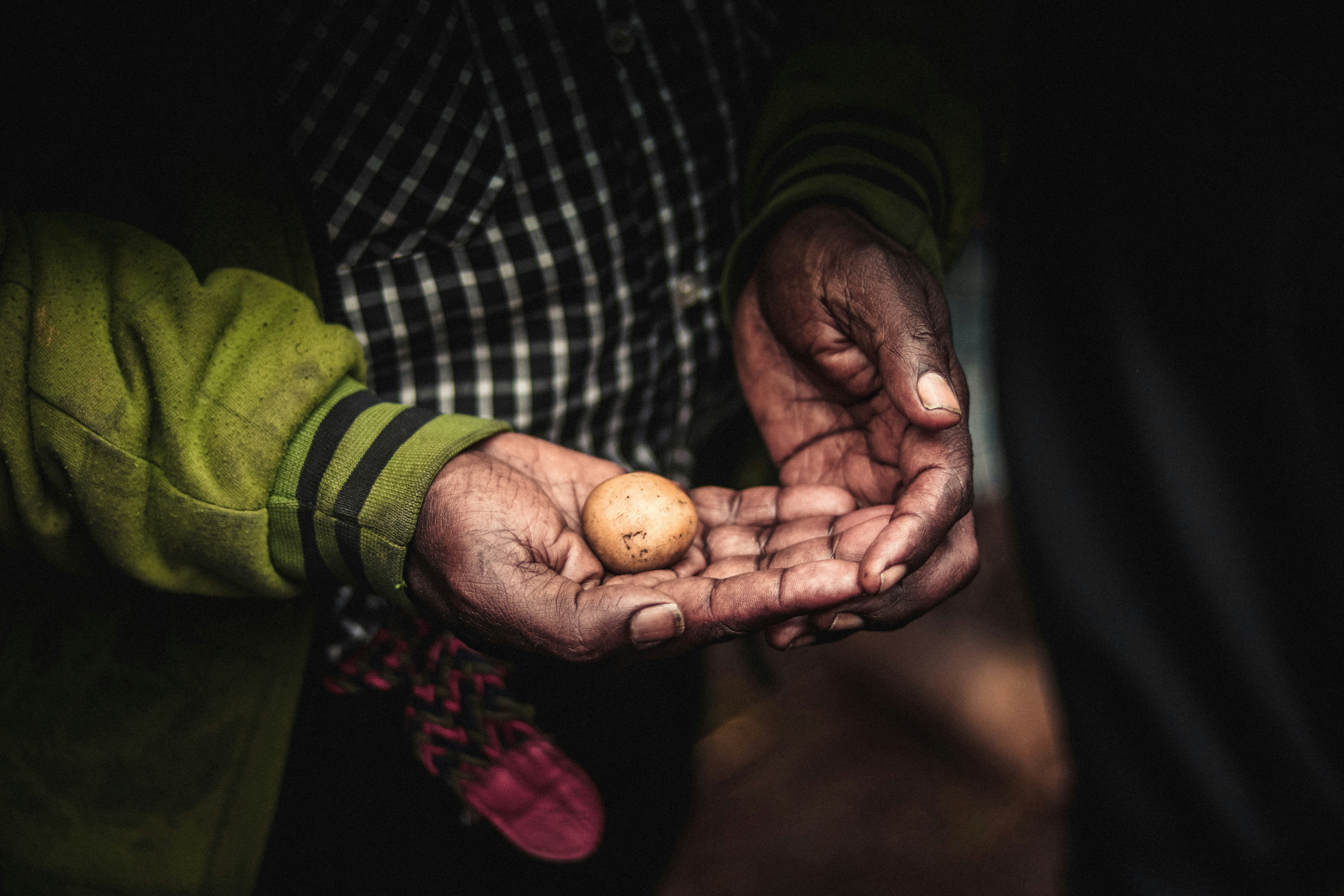 person in black and green long sleeve shirt holding hands papua new guinea zoom background