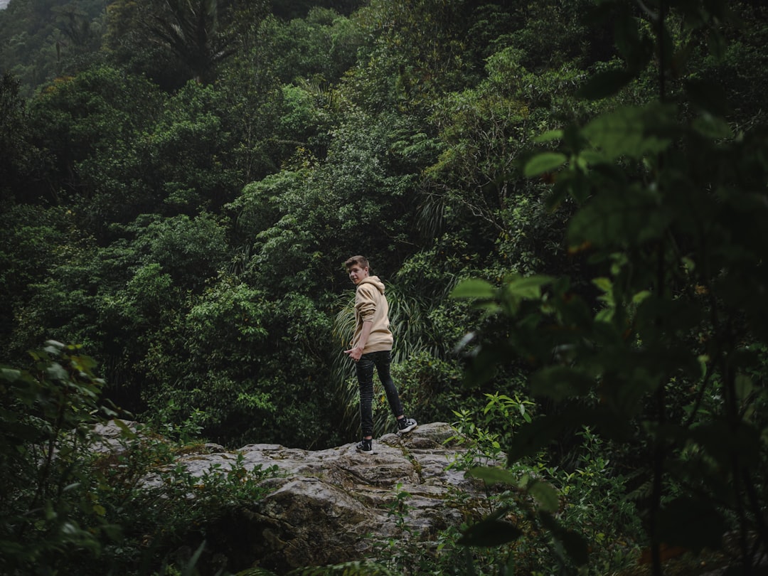 travelers stories about Jungle in Sledge Track Kahuterawa Road, New Zealand