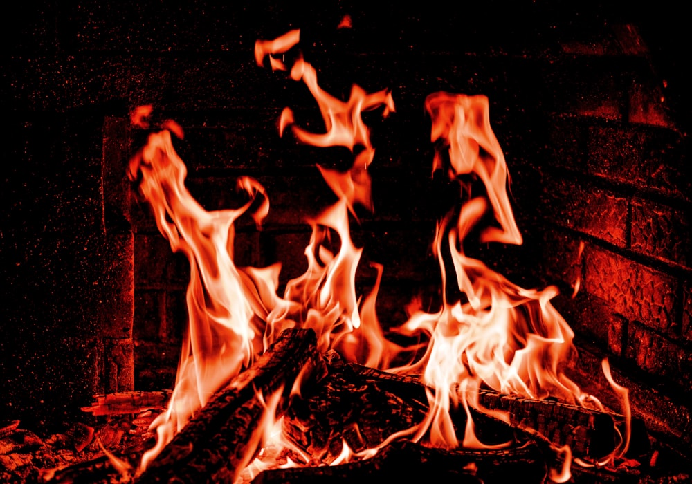 fire in the dark during night time