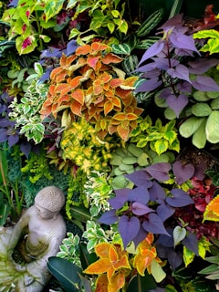 A vibrant assortment of colorful foliage featuring various types of leaves in hues of green, orange, purple, and yellow. A serene stone Buddha statue is partially visible among the greenery, conveying a peaceful, meditative atmosphere.
