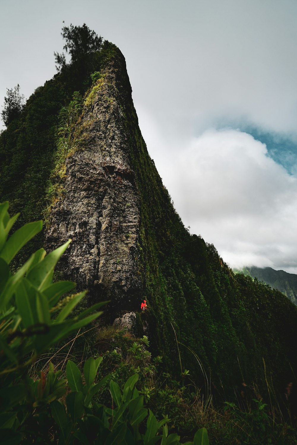 green grass on mountain under cloudy sky during daytime