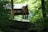 A wooden shelter is nestled among a lush, green forest. Sunlight filters through the thick canopy, casting dappled light on the ground. The foreground shows a dirt path with exposed tree roots leading up to the shelter.