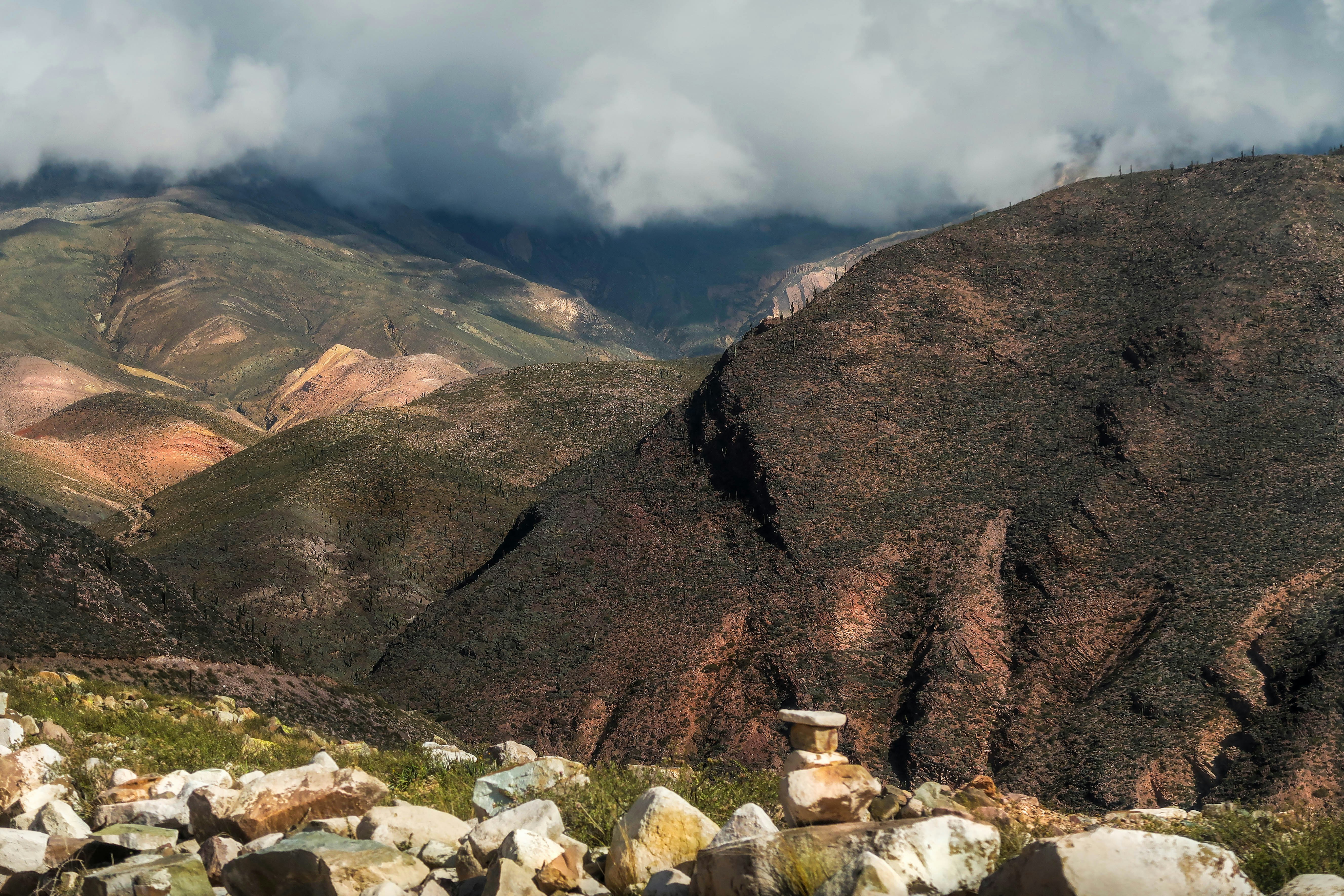 Photo by argentinanatural