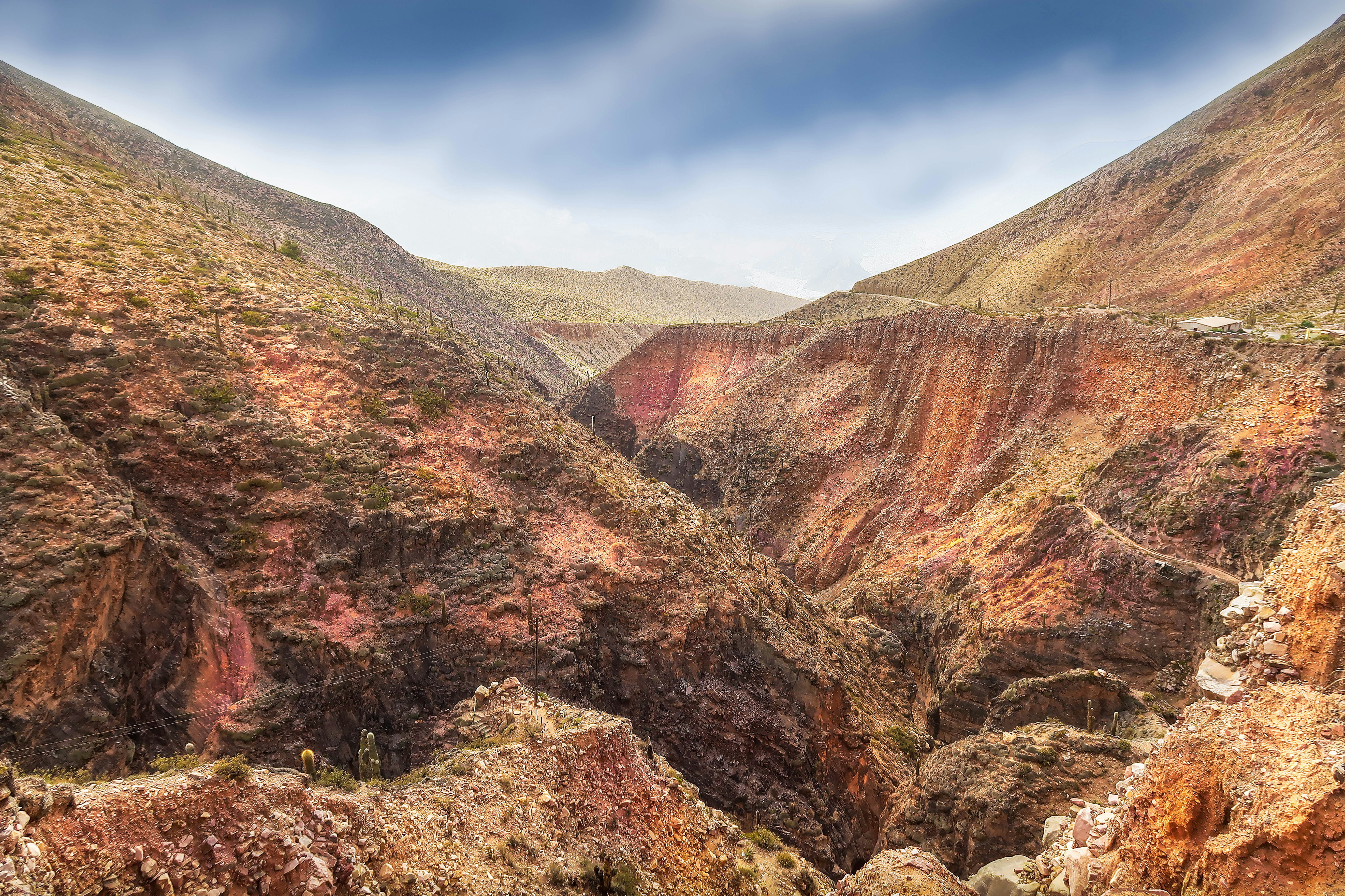 Photo by argentinanatural