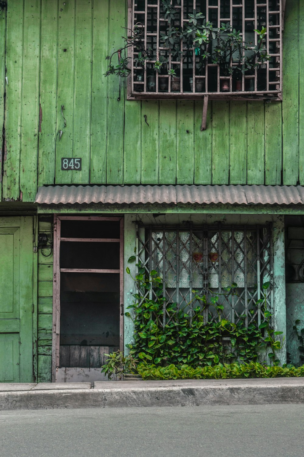 Porte en bois vert avec des plantes vertes