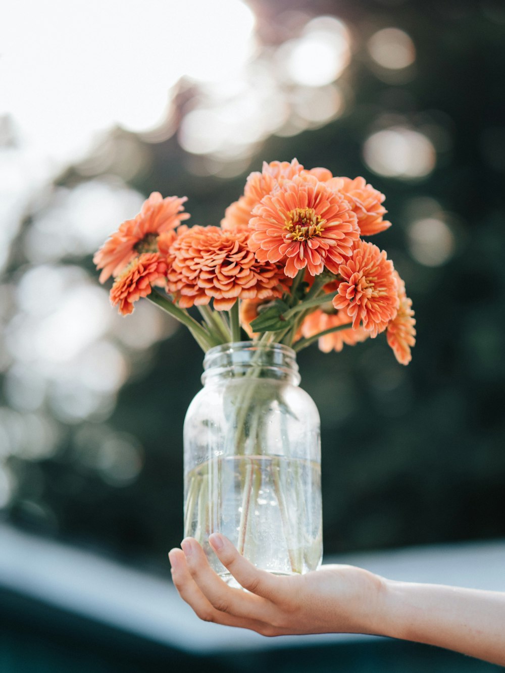 red flowers in clear glass vase