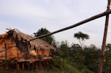 A rustic wooden hut with a thatched roof surrounded by green foliage. The structure appears to be elevated with wooden stilts and is located in a natural, serene setting. A few trees are visible in the background against a mostly clear sky.