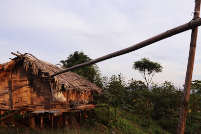 A rustic wooden hut with a thatched roof surrounded by green foliage. The structure appears to be elevated with wooden stilts and is located in a natural, serene setting. A few trees are visible in the background against a mostly clear sky.