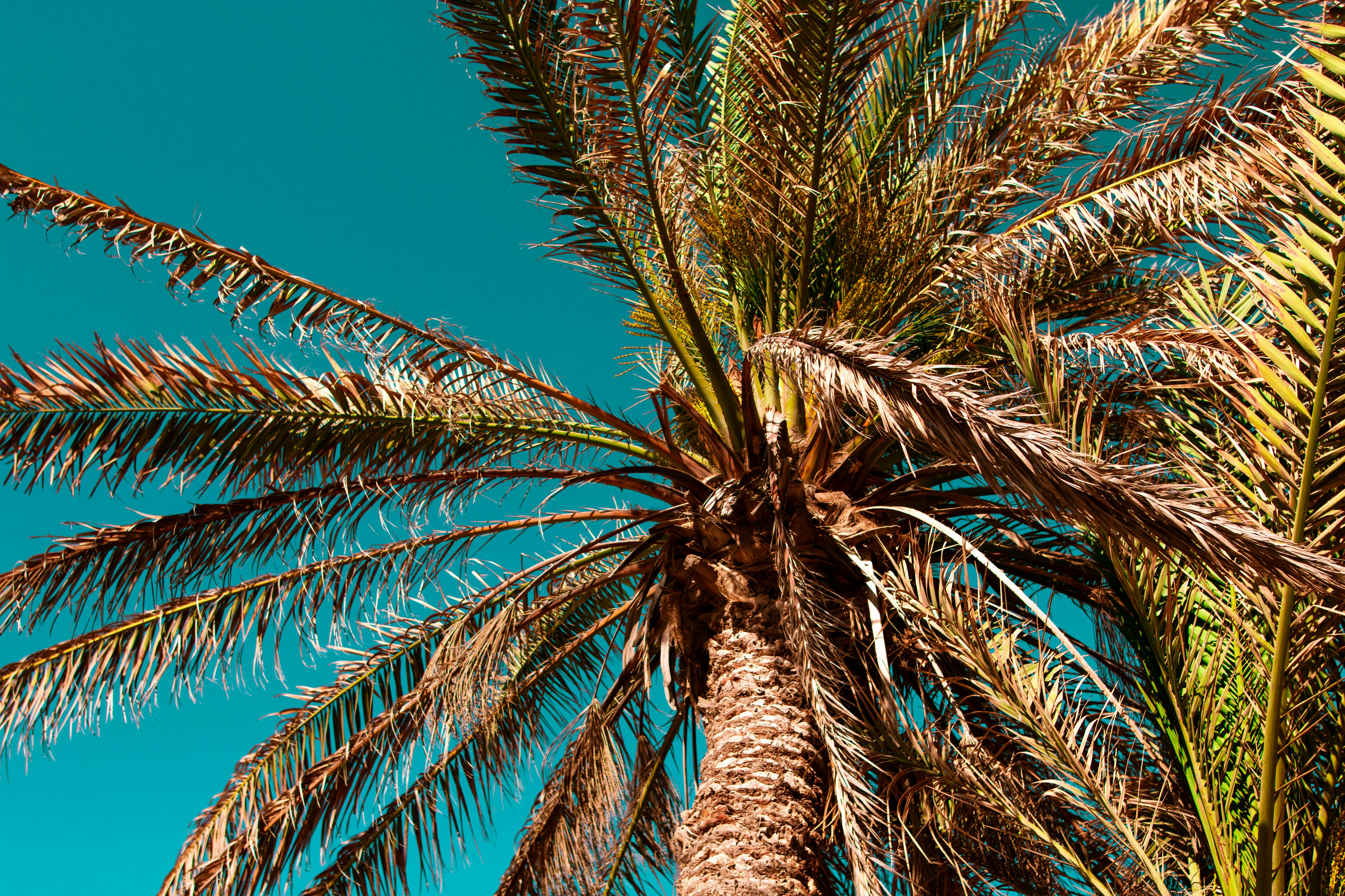 Photo by strvngefilmss