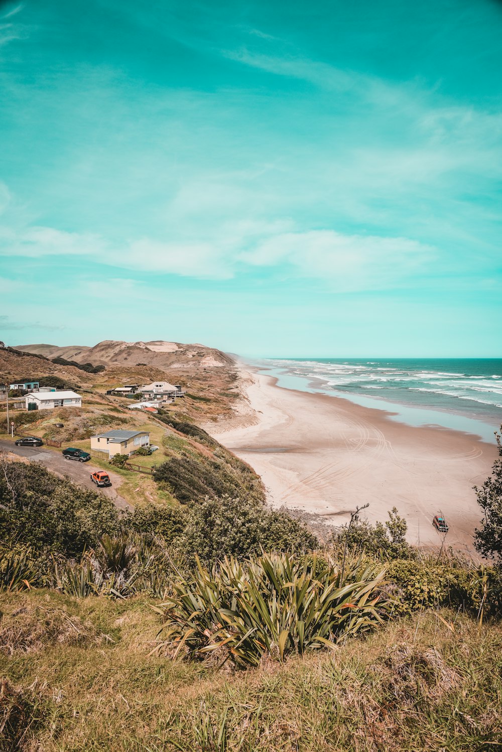 green grass on brown sand near body of water during daytime