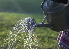 water pouring on gray steel watering can