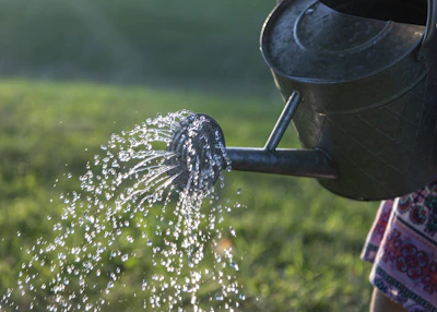 water pouring on gray steel watering can