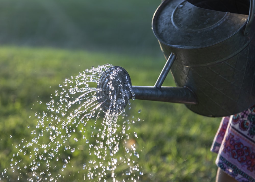 A Guide To Effective Garden Maintenance: Watering