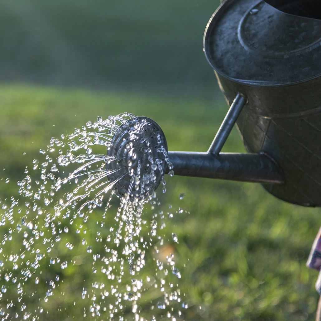 water pouring on gray steel watering can