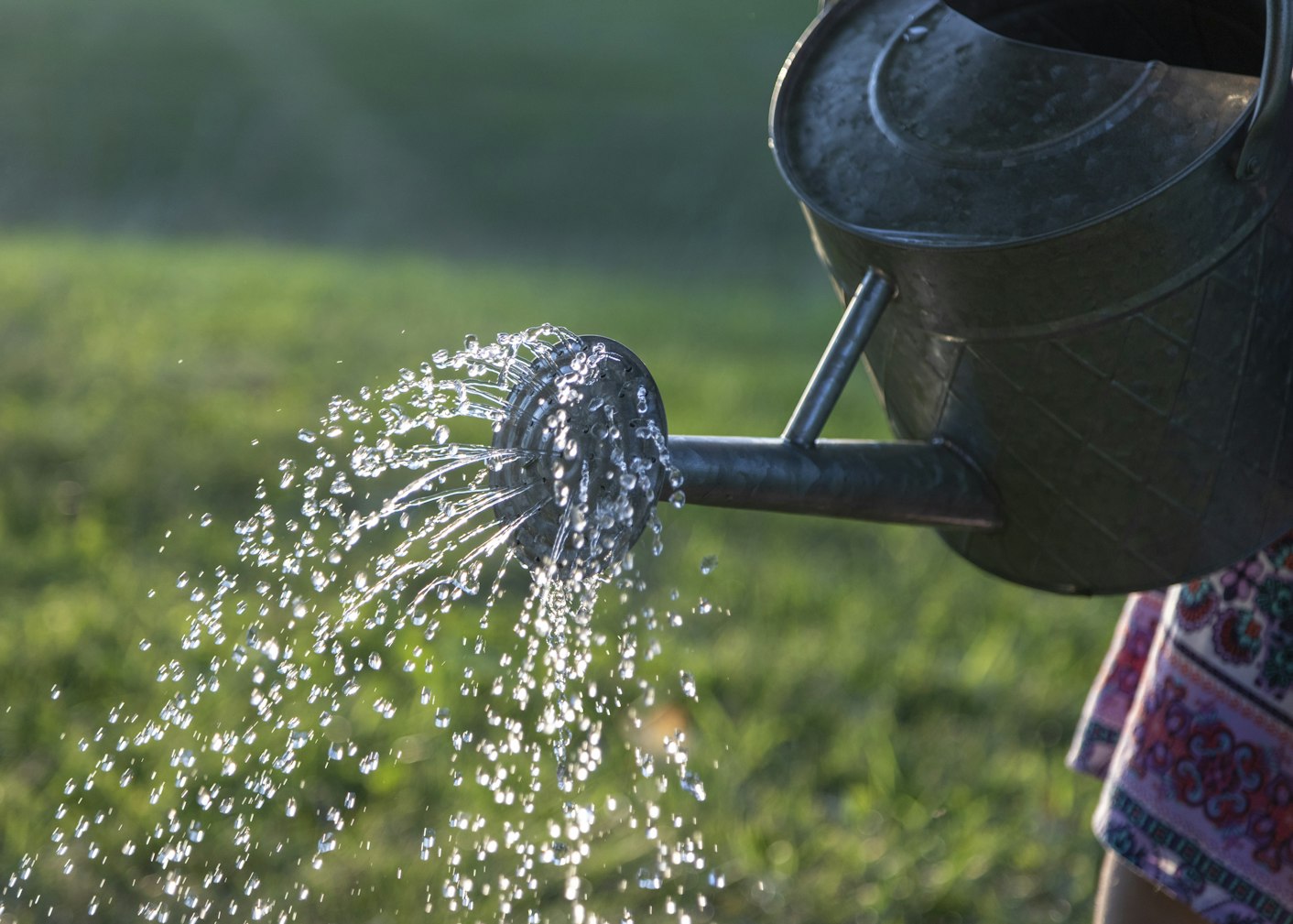 water pouring out of a watering can