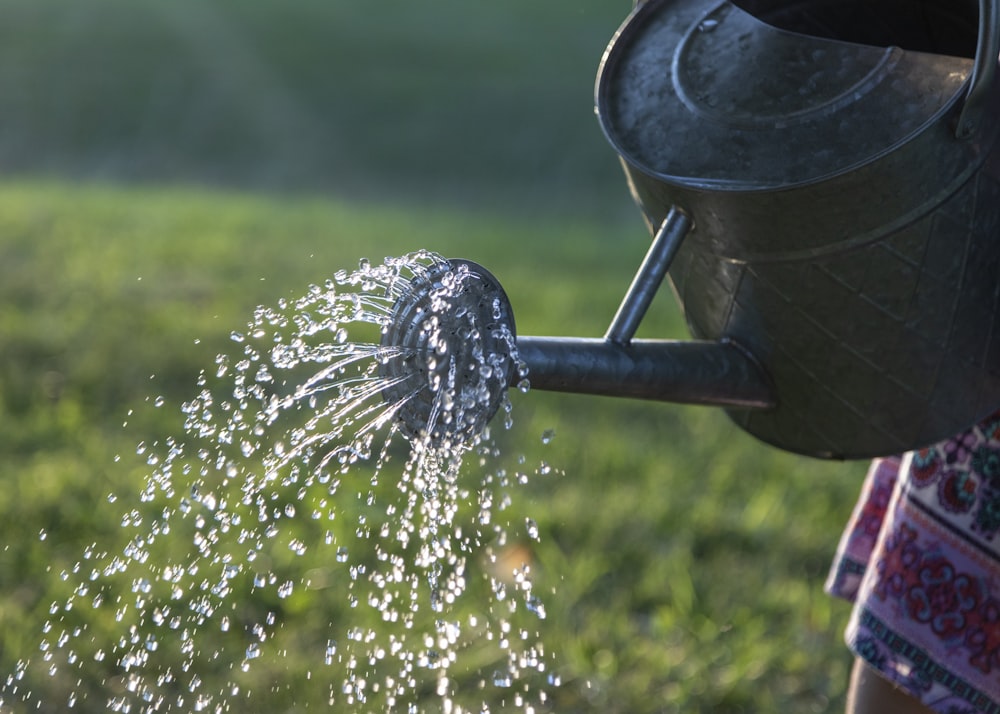 water pouring on gray steel watering can