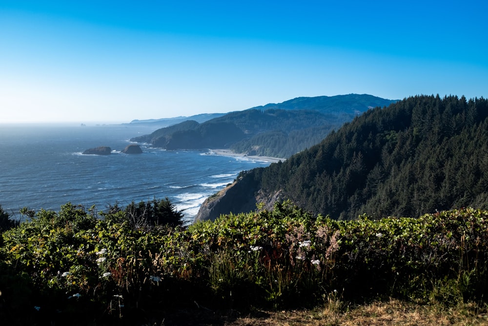 a scenic view of the ocean and mountains