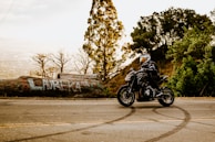 A person wearing a helmet and protective gear rides a black motorcycle on a road flanked by trees. The background features a large log with colorful graffiti and a mix of densely and sparsely vegetated areas. The scene is set in a natural landscape during daylight, giving a sense of motion and adventure.