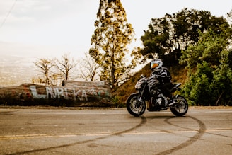 A person wearing a helmet and protective gear rides a black motorcycle on a road flanked by trees. The background features a large log with colorful graffiti and a mix of densely and sparsely vegetated areas. The scene is set in a natural landscape during daylight, giving a sense of motion and adventure.