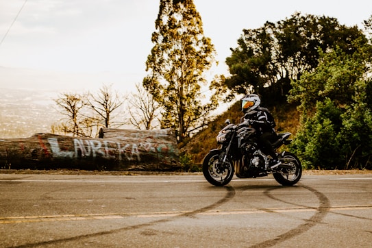 A person wearing a helmet and protective gear rides a black motorcycle on a road flanked by trees. The background features a large log with colorful graffiti and a mix of densely and sparsely vegetated areas. The scene is set in a natural landscape during daylight, giving a sense of motion and adventure.