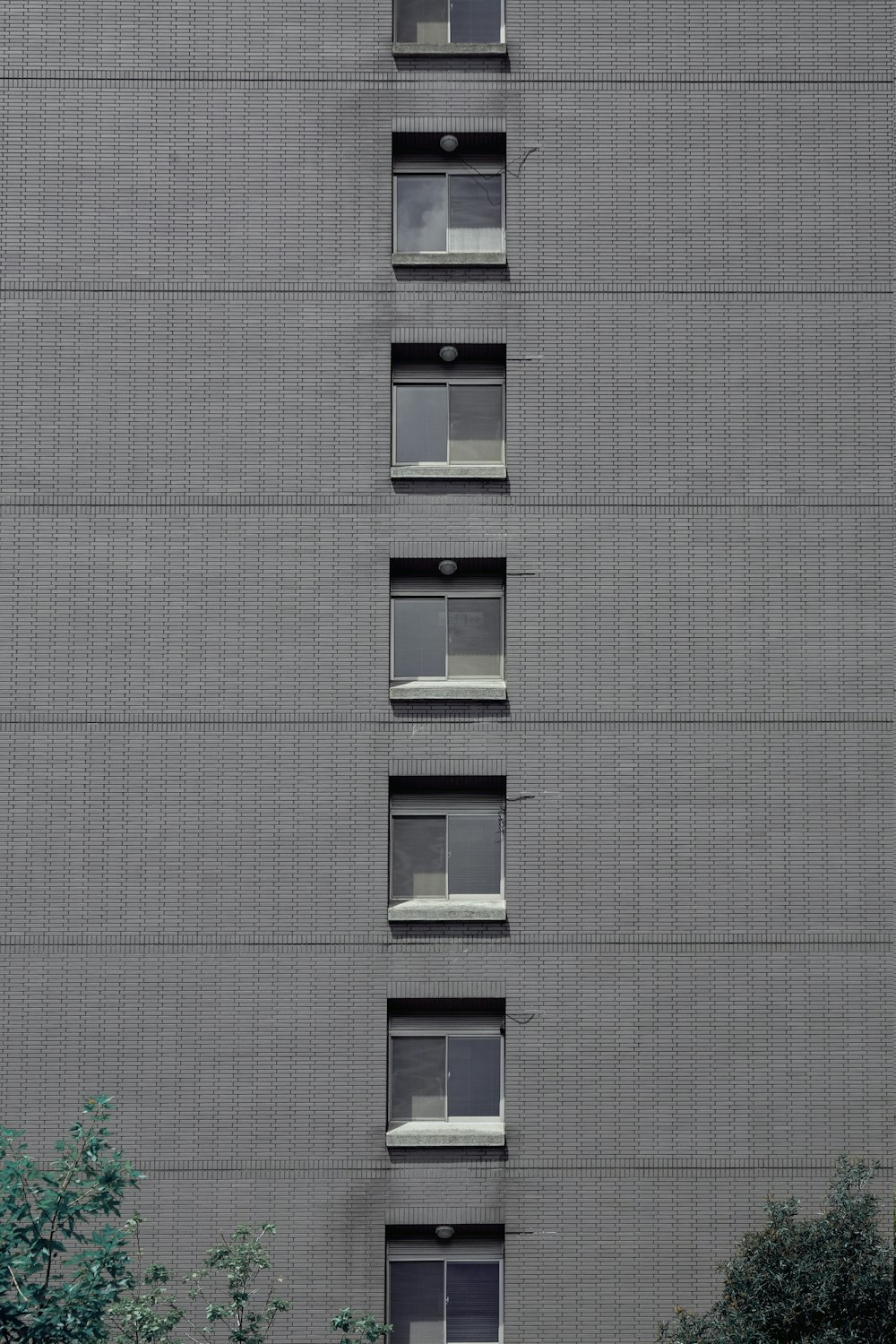 灰色のコンクリートの建物に白い木製の窓枠