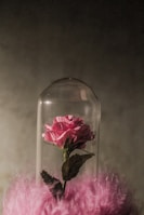 A pink rose is enclosed in a clear glass dome. The rose is positioned on a base covered with soft, pink textured material, possibly feathers or fur. The background is a muted gray, giving the scene a tranquil and delicate appearance.