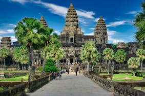 people walking on park near trees and building during daytime