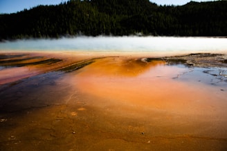 A stunning geothermal landscape with vibrant orange, yellow, and brown mineral deposits on the ground, surrounded by blue and white steam or fog. The background features a dark green forested mountain, creating a striking contrast in colors.
