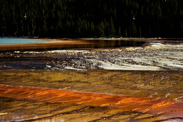 A striking vista of colorful geothermal features with a mix of bright orange, yellow, and brown hues creating a vivid pattern on the ground. A blue pool appears in the distance, surrounded by a dense forest of dark green trees, adding a natural backdrop to the abstract formations.