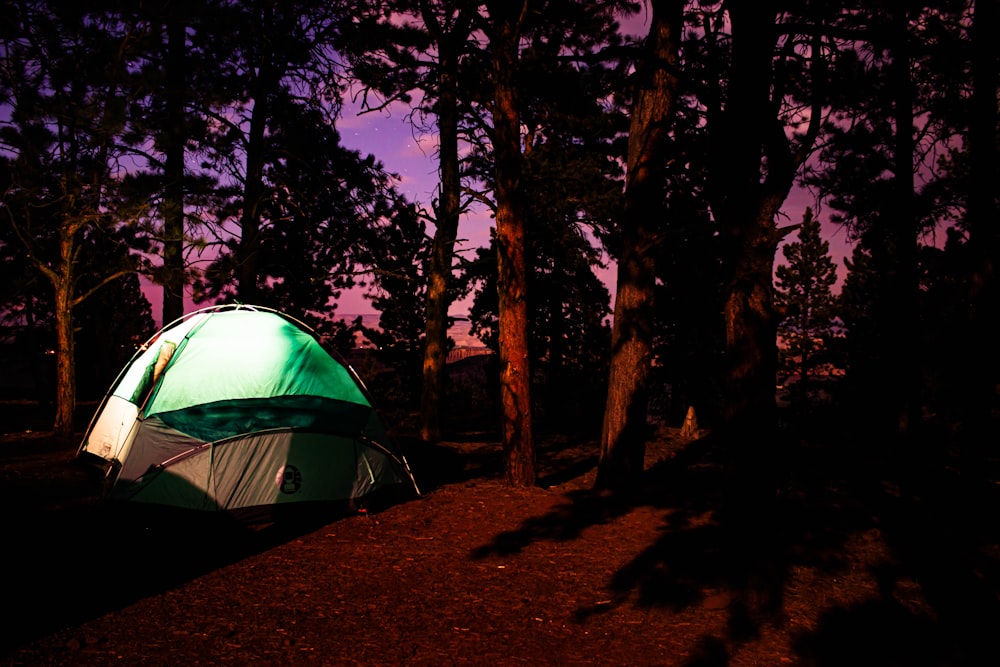 green and white dome tent in forest during night time