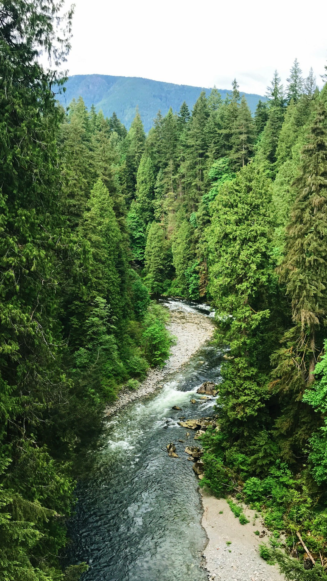 Nature reserve photo spot Capilano Suspension Bridge Coquitlam