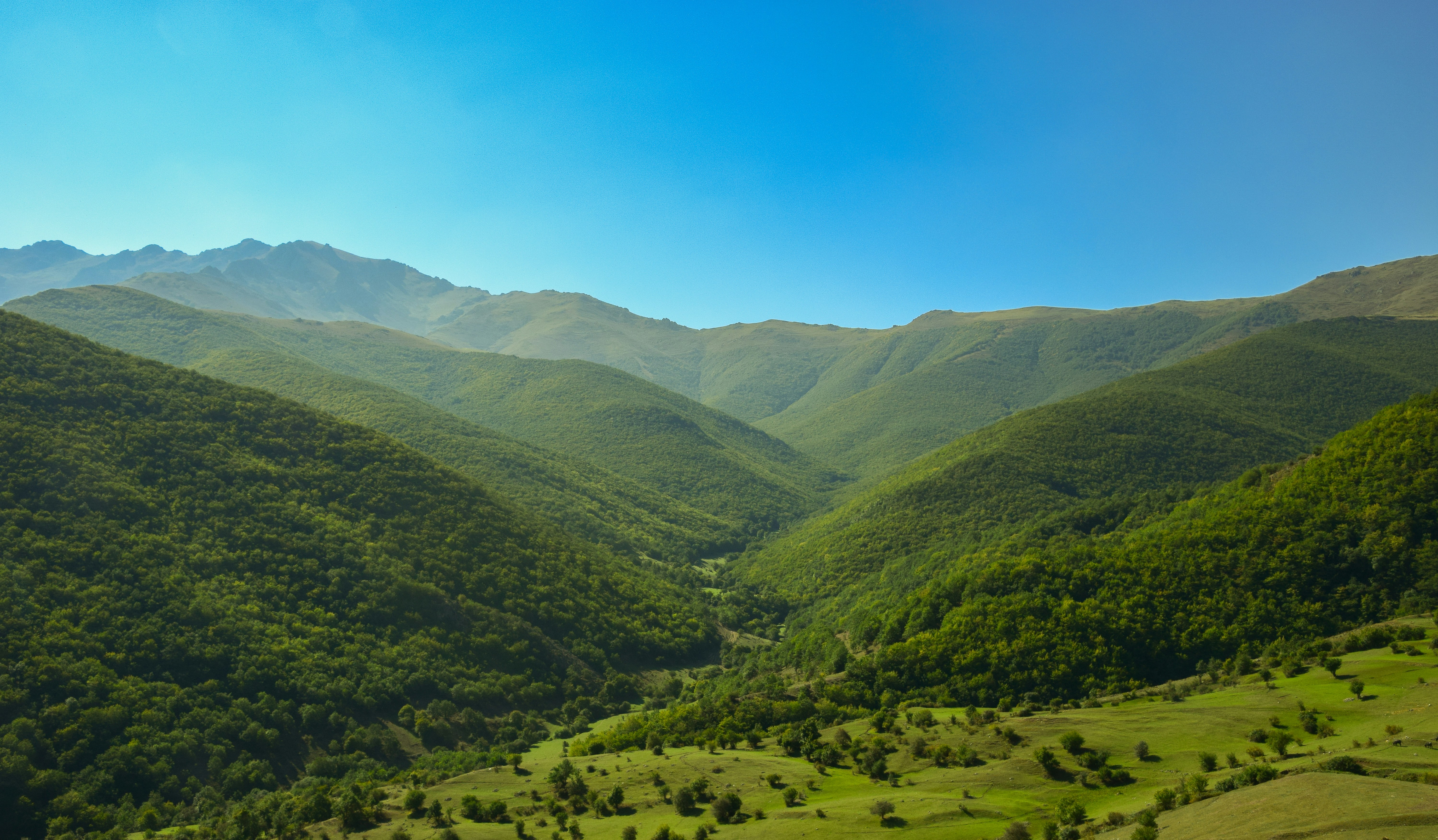 Quel personnage de Super Mario es-tu ? (Test Switch 2)