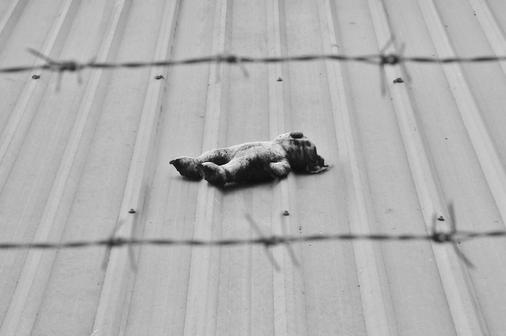 Foto en escala de grises de una persona acostada en el suelo