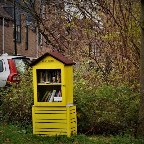 A friendly volunteer placing books inside a colorful little free library in a neighborhood park.