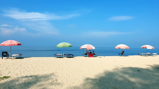 2 white beach umbrellas on beach during daytime in Mararikulam India