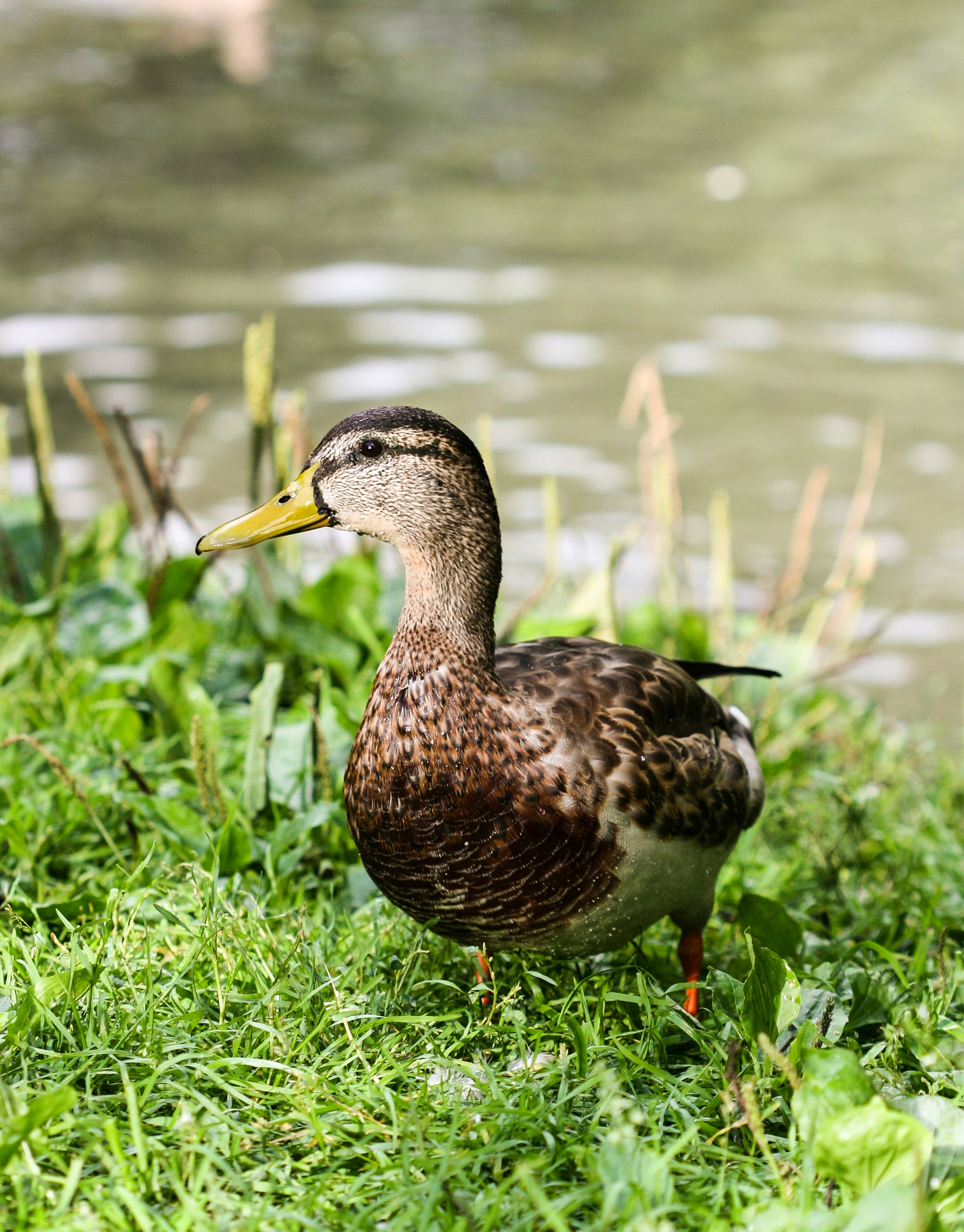 Photo by nyushasvoboda