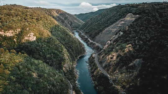 river between green trees and mountains during daytime in Manawatu Gorge Track New Zealand