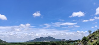 A serene New Zealand landscape featuring lush greenery and a clear blue sky, symbolizing growth and fresh starts.