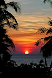 Coucher de soleil observé depuis un mouillage dans les Antilles