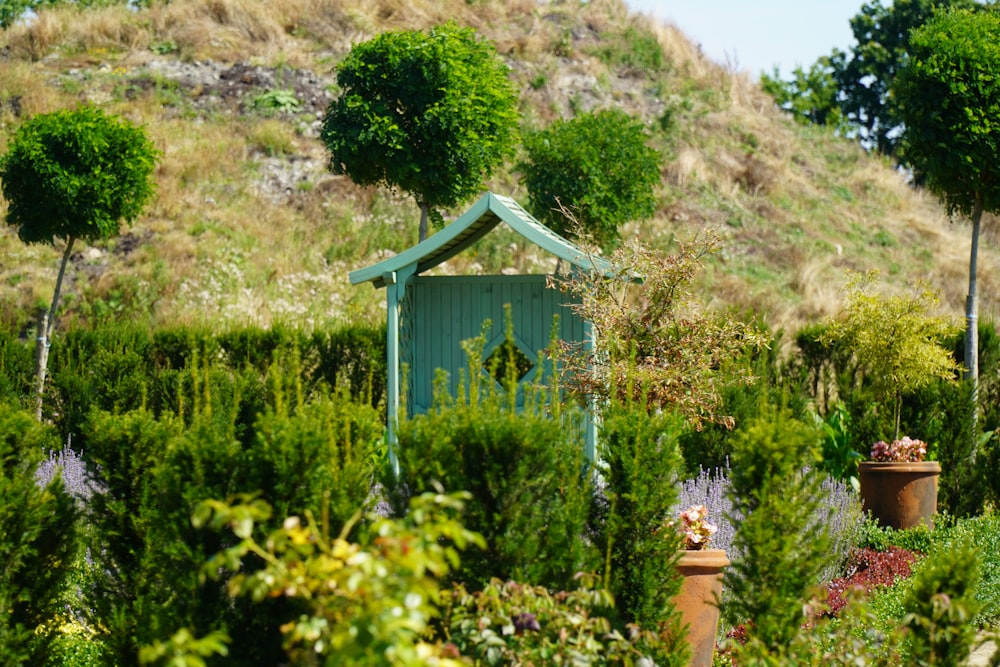 blue wooden house surrounded by green plants