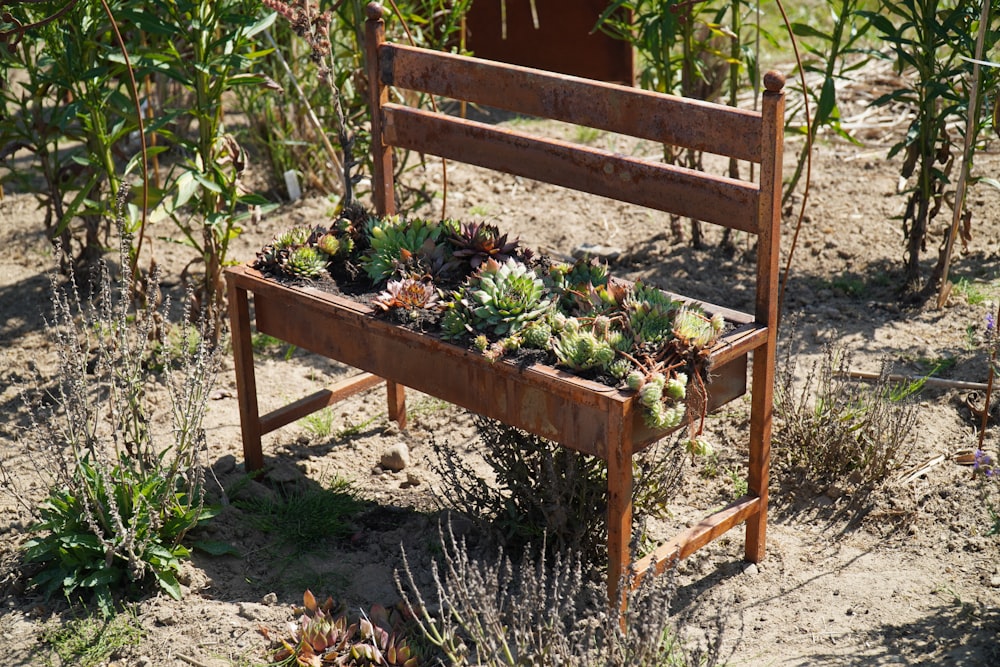 green plant on brown wooden table