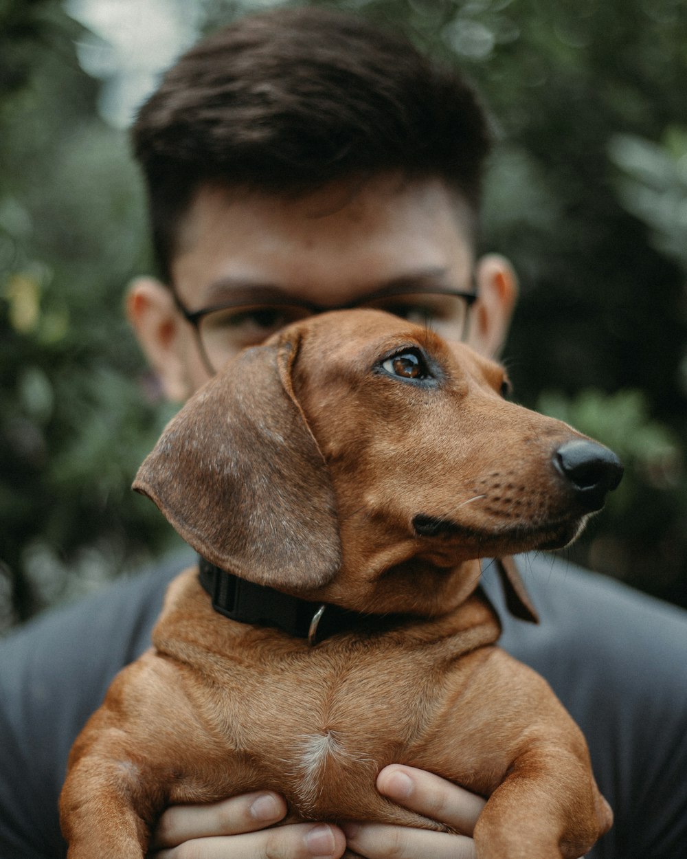 man in black suit jacket holding brown short coated dog