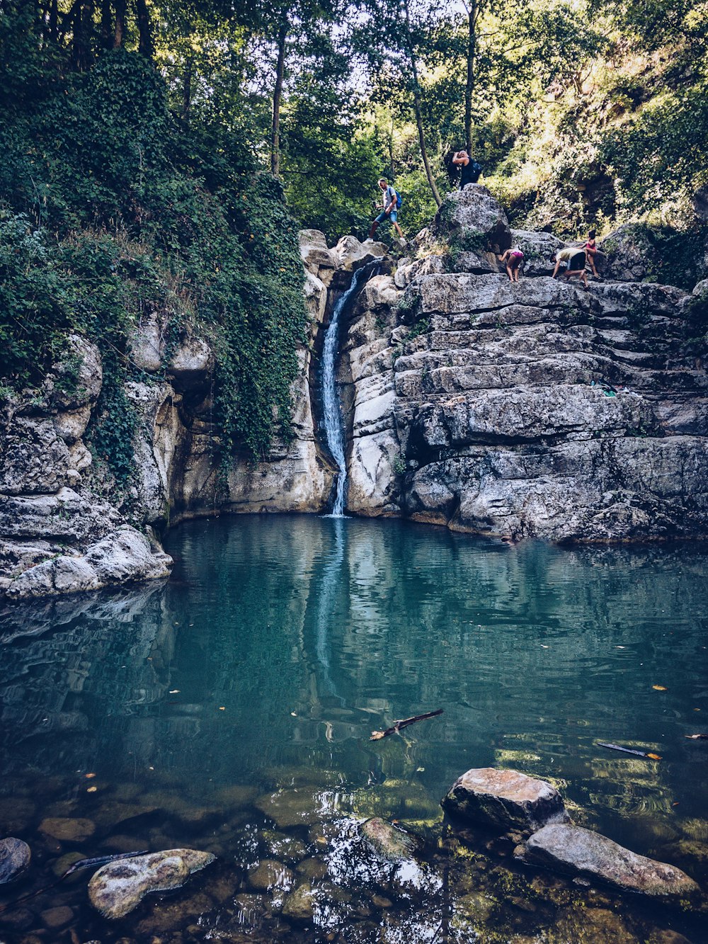 a small waterfall in the middle of a forest